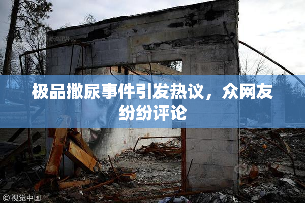 极品撒尿事件引发热议，众网友纷纷评论