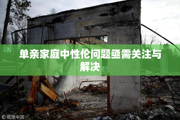 单亲家庭中性伦问题亟需关注与解决