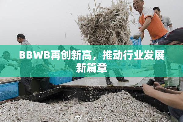 BBWB再创新高，推动行业发展新篇章