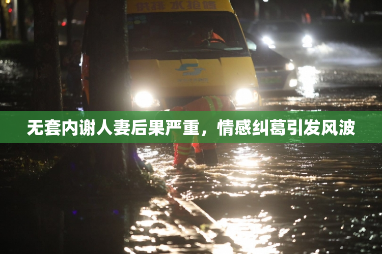 无套内谢人妻后果严重，情感纠葛引发风波