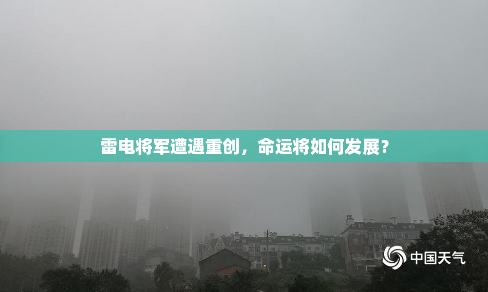 雷电将军遭遇重创，命运将如何发展？
