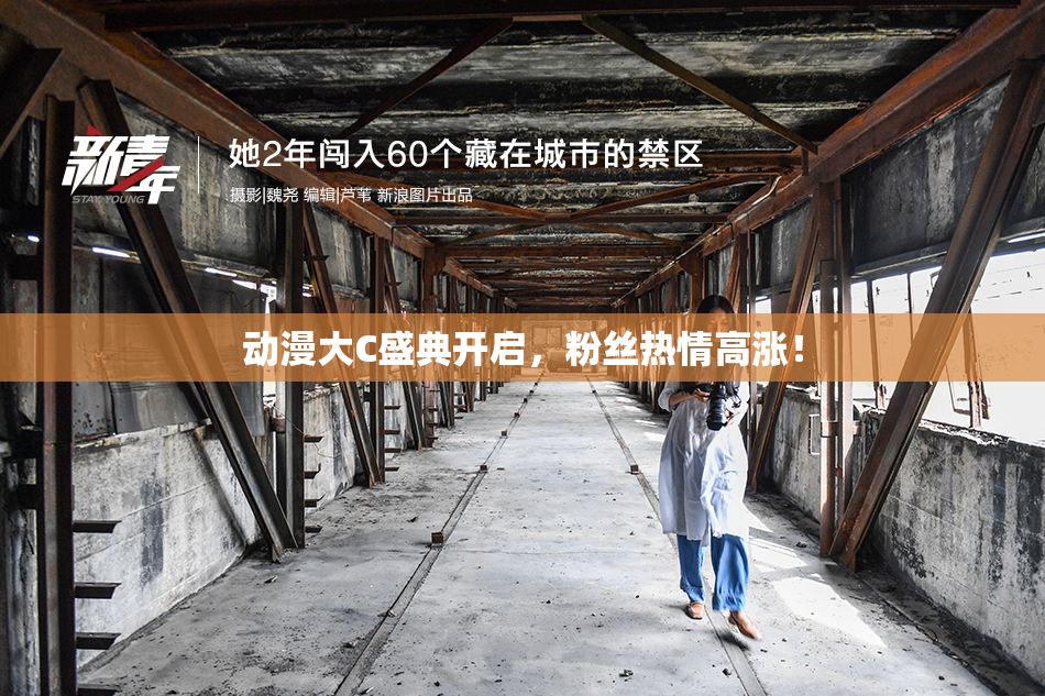动漫大C盛典开启，粉丝热情高涨！