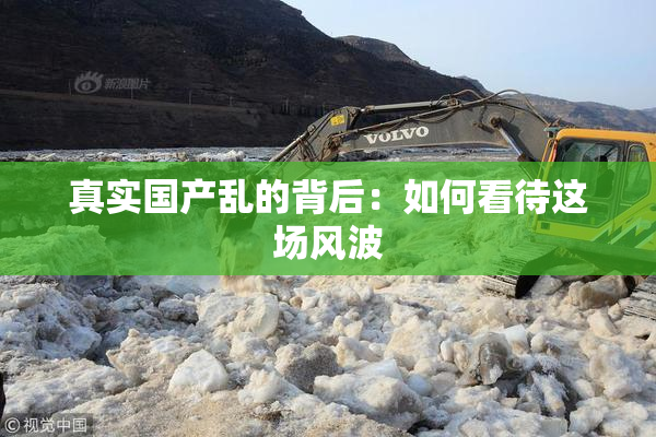 真实国产乱的背后：如何看待这场风波