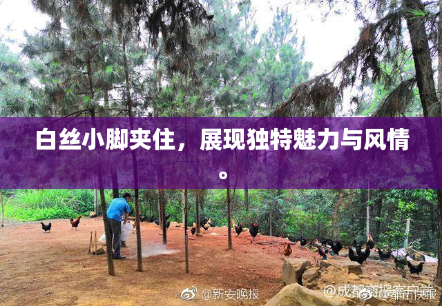 白丝小脚夹住，展现独特魅力与风情。
