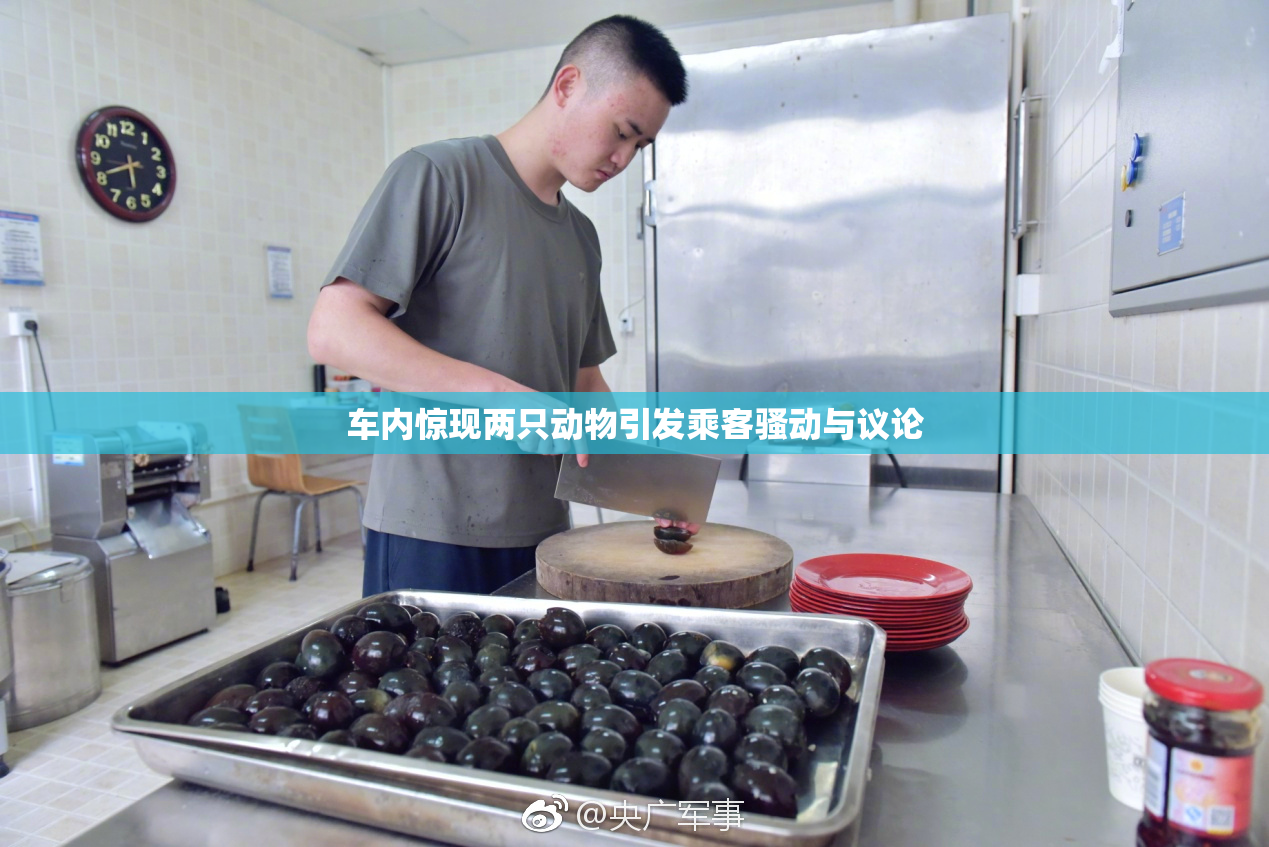 车内惊现两只动物引发乘客骚动与议论