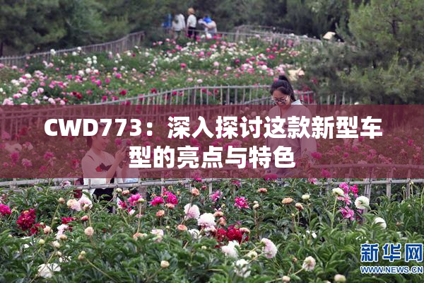 CWD773：深入探讨这款新型车型的亮点与特色