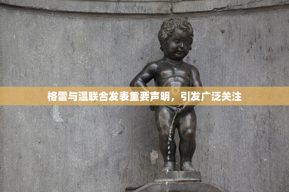 格雷与温联合发表重要声明，引发广泛关注