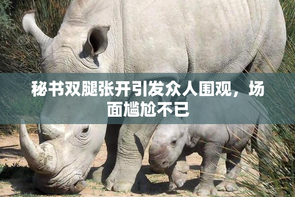 秘书双腿张开引发众人围观，场面尴尬不已
