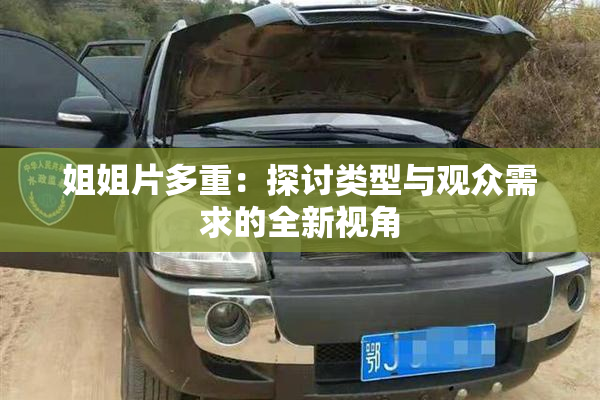 姐姐片多重：探讨类型与观众需求的全新视角
