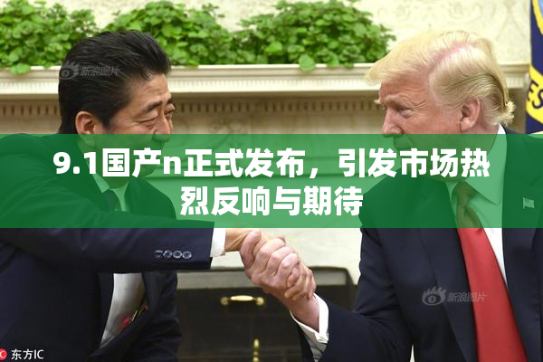 9.1国产n正式发布，引发市场热烈反响与期待