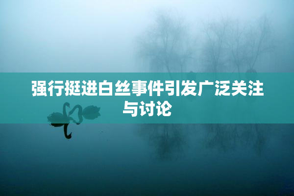 强行挺进白丝事件引发广泛关注与讨论