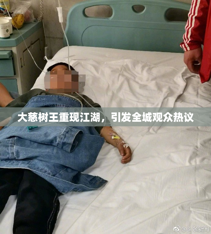 大慈树王重现江湖，引发全城观众热议