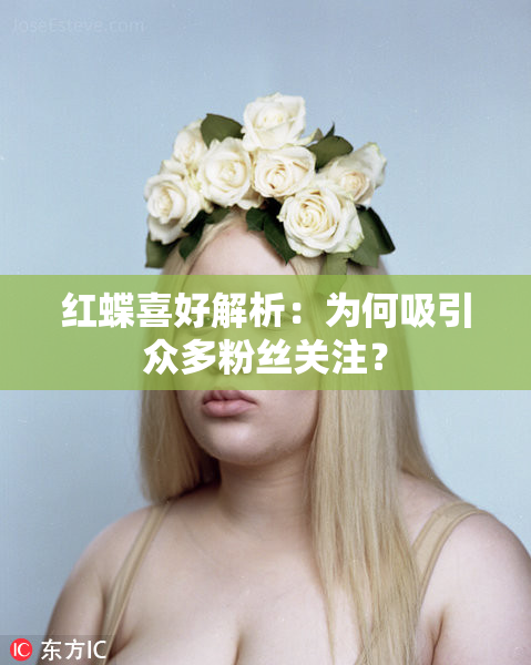 红蝶喜好解析：为何吸引众多粉丝关注？