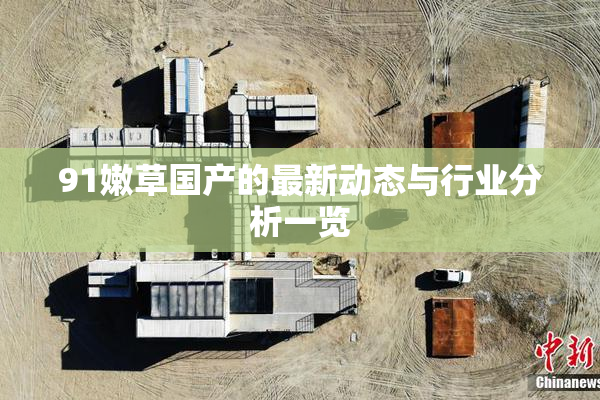 91嫩草国产的最新动态与行业分析一览