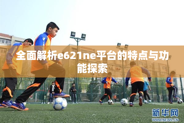 全面解析e621ne平台的特点与功能探索