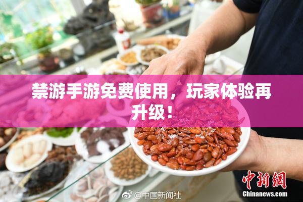 禁游手游免费使用，玩家体验再升级！