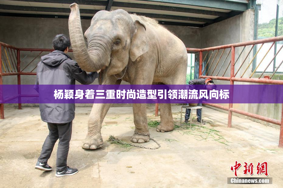 杨颖身着三重时尚造型引领潮流风向标