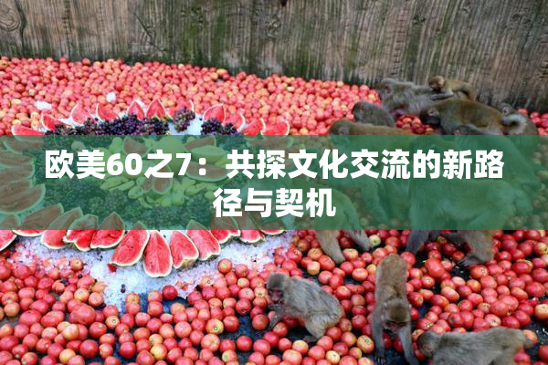 欧美60之7：共探文化交流的新路径与契机