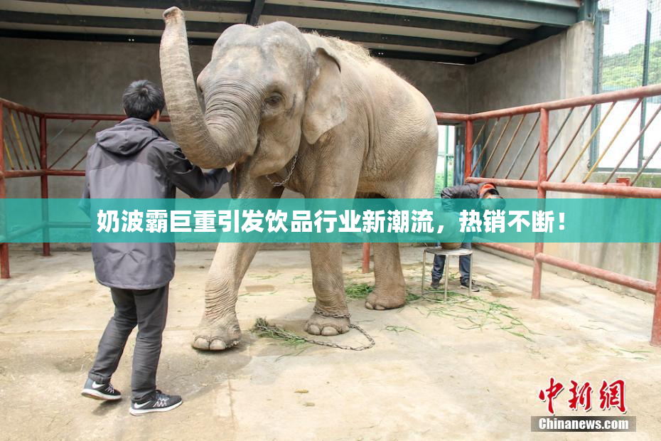 奶波霸巨重引发饮品行业新潮流，热销不断！