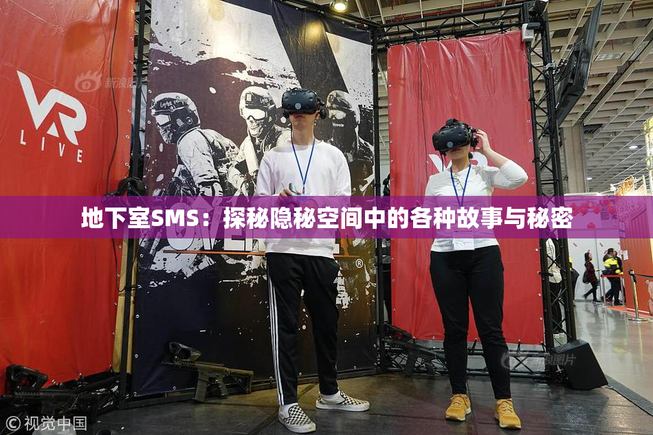 地下室SMS：探秘隐秘空间中的各种故事与秘密