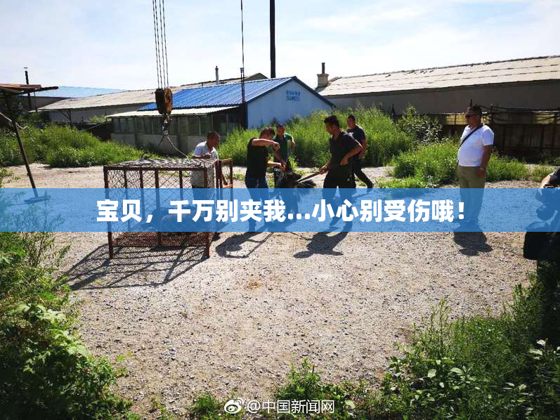 宝贝，千万别夹我…小心别受伤哦！