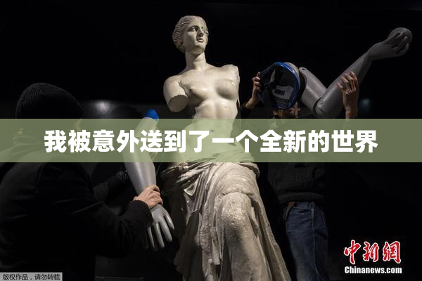 我被意外送到了一个全新的世界