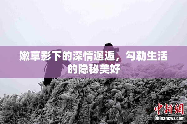 嫩草影下的深情邂逅，勾勒生活的隐秘美好