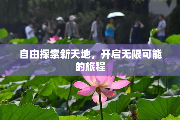 自由探索新天地，开启无限可能的旅程