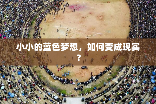 小小的蓝色梦想，如何变成现实？