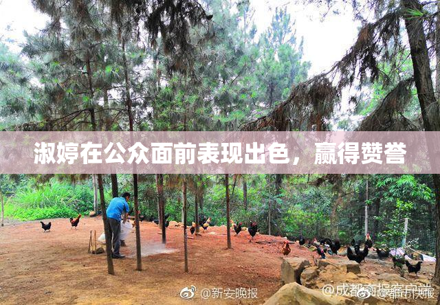淑婷在公众面前表现出色，赢得赞誉