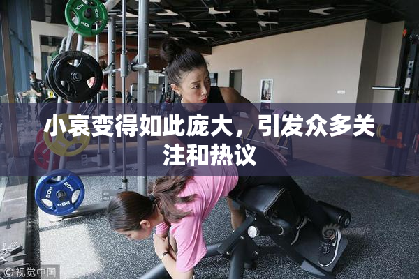 小哀变得如此庞大，引发众多关注和热议