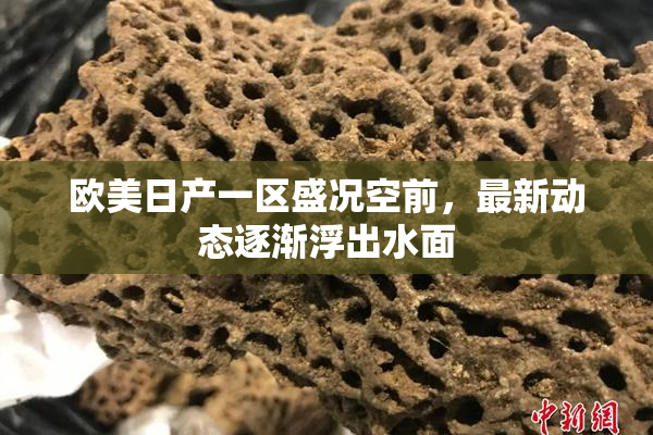 欧美日产一区盛况空前，最新动态逐渐浮出水面
