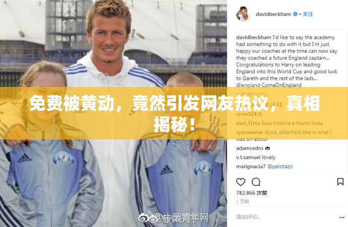 免费被黄动，竟然引发网友热议，真相揭秘！