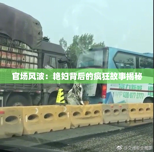 官场风波：艳妇背后的疯狂故事揭秘