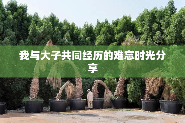 我与大子共同经历的难忘时光分享