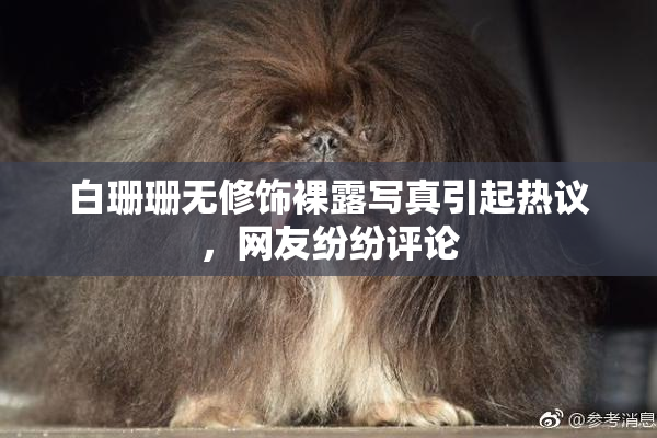 白珊珊无修饰裸露写真引起热议，网友纷纷评论