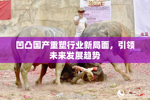 凹凸国产重塑行业新局面，引领未来发展趋势