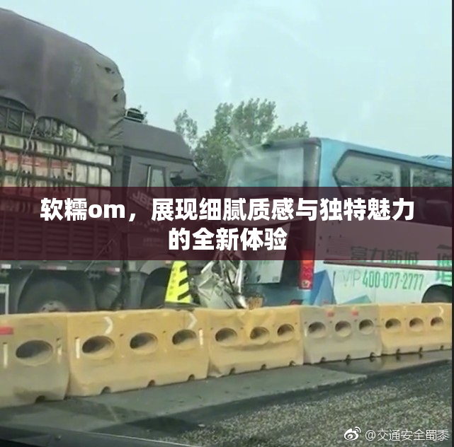 软糯om，展现细腻质感与独特魅力的全新体验