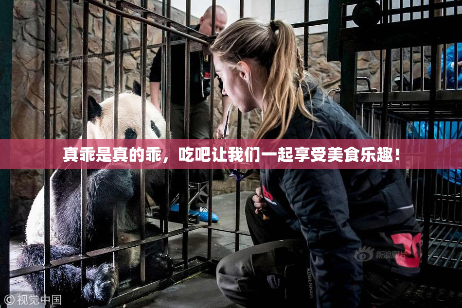 真乖是真的乖，吃吧让我们一起享受美食乐趣！
