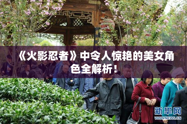 《火影忍者》中令人惊艳的美女角色全解析！