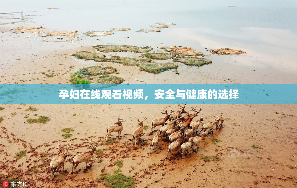 孕妇在线观看视频，安全与健康的选择