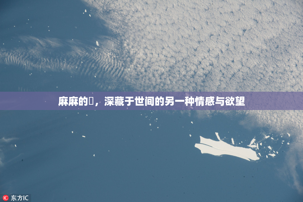 麻麻的婬，深藏于世间的另一种情感与欲望