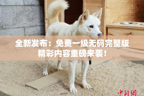 全新发布：免费一级无码完整版精彩内容重磅来袭！