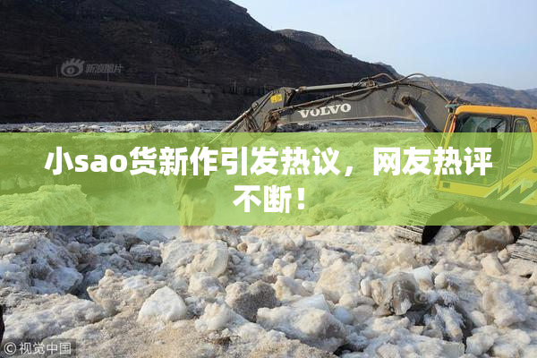 小sao货新作引发热议，网友热评不断！
