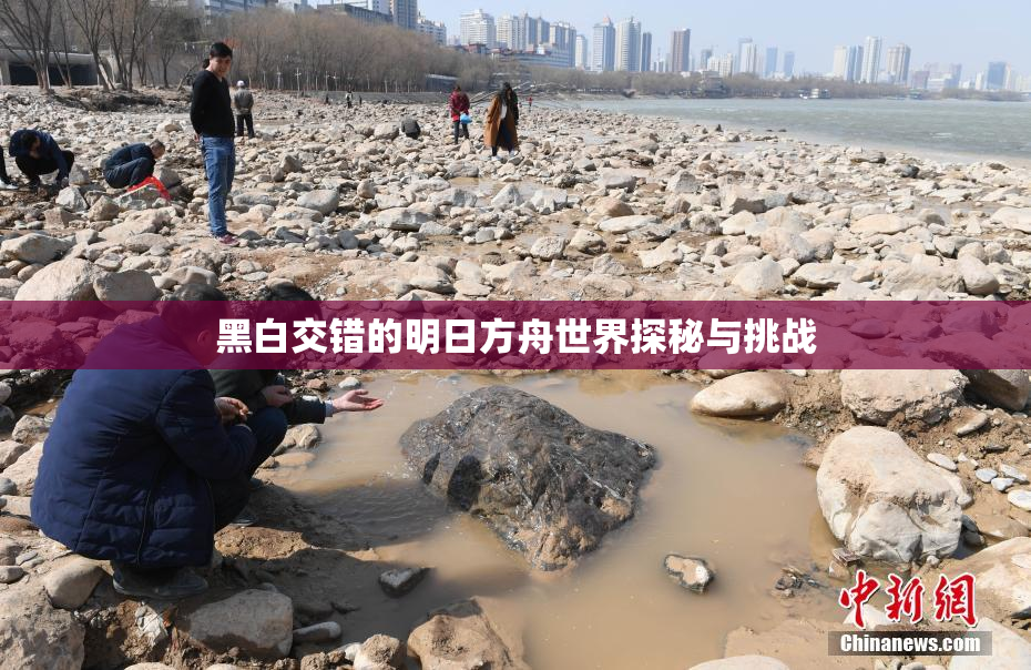 黑白交错的明日方舟世界探秘与挑战
