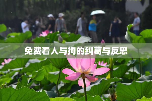 免费看人与拘的纠葛与反思