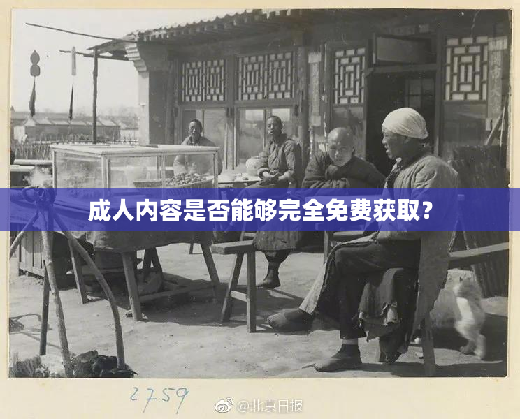 成人内容是否能够完全免费获取？