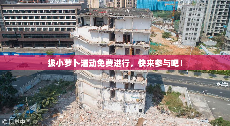 拔小萝卜活动免费进行，快来参与吧！