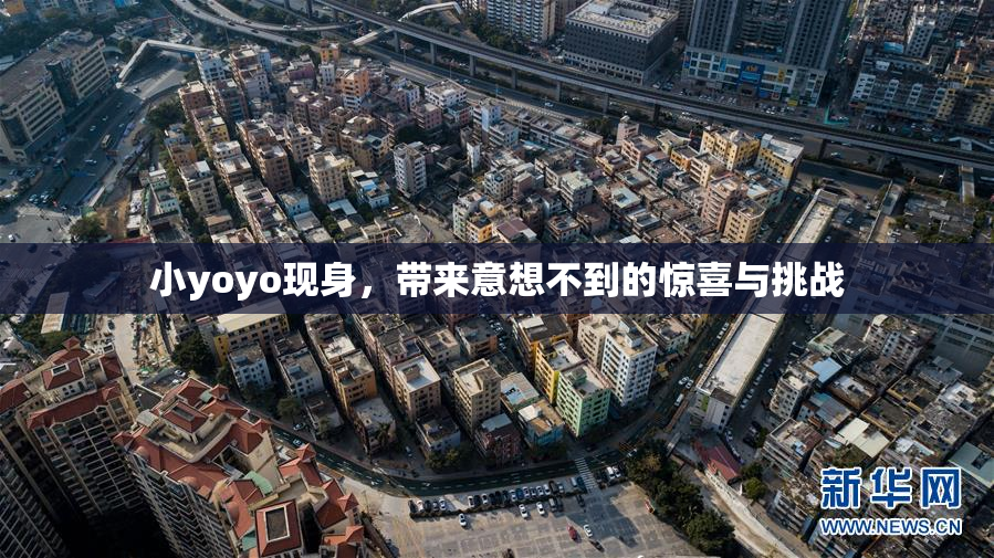 小yoyo现身，带来意想不到的惊喜与挑战