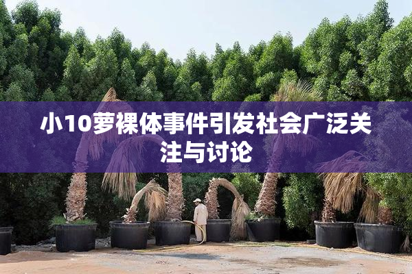 小10萝裸体事件引发社会广泛关注与讨论